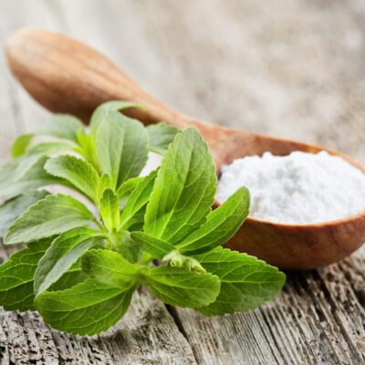 Stevia rebaduiana bertoni - Stevija (pakovanje 3kom.)